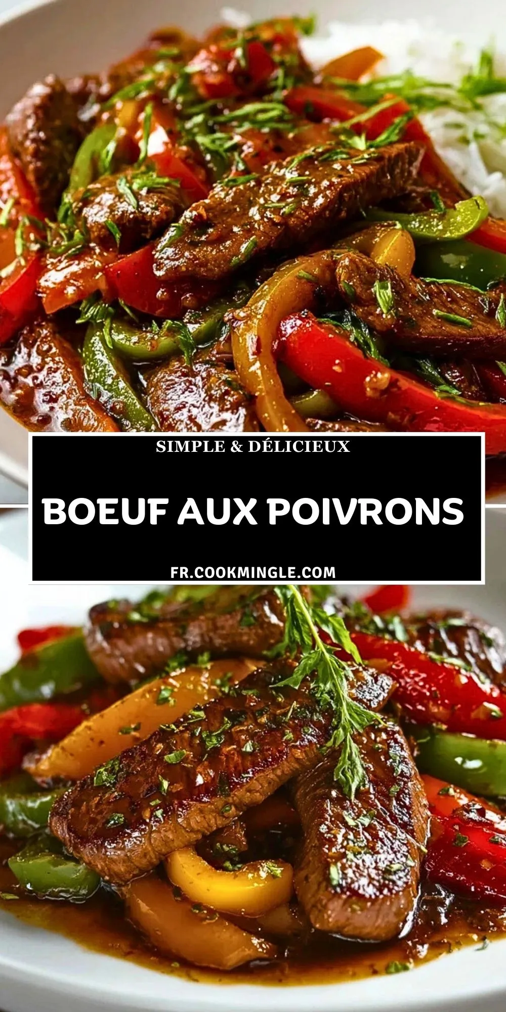Boeuf aux poivrons (2)