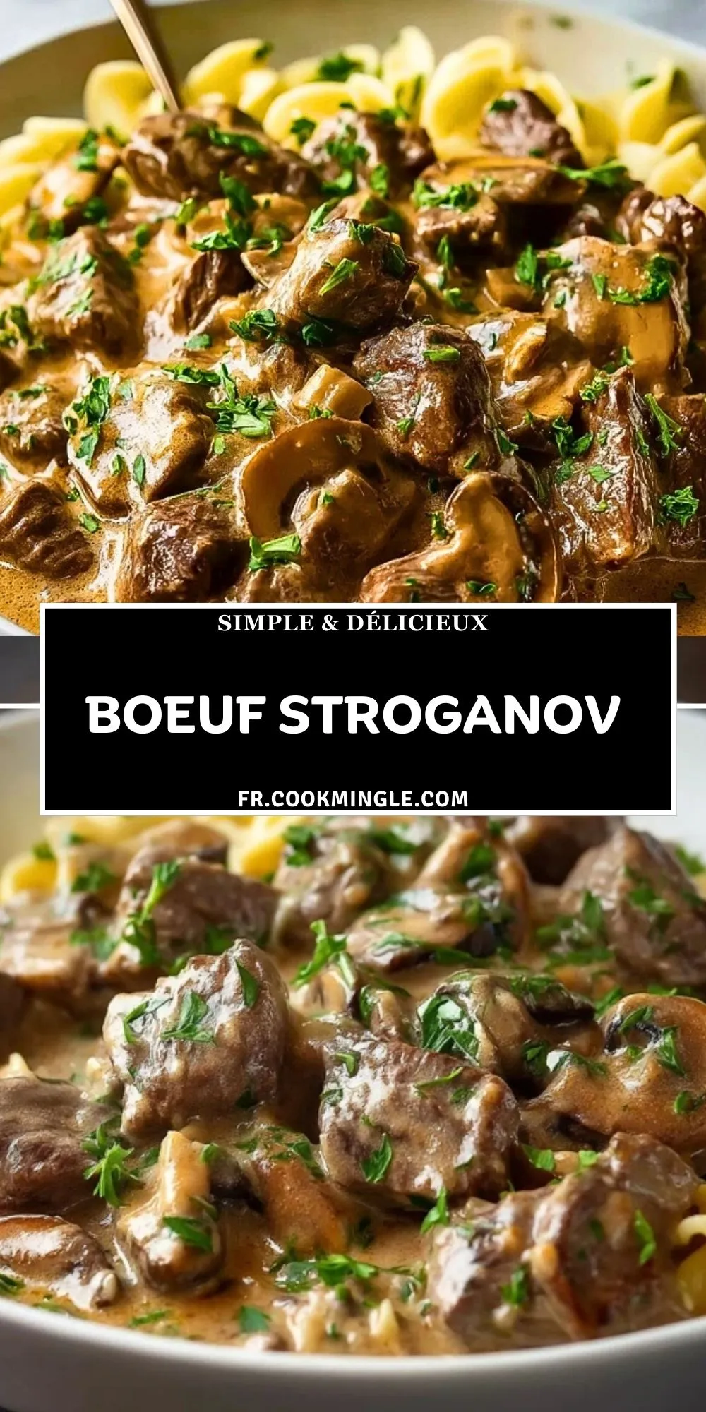 Boeuf Stroganov (2)