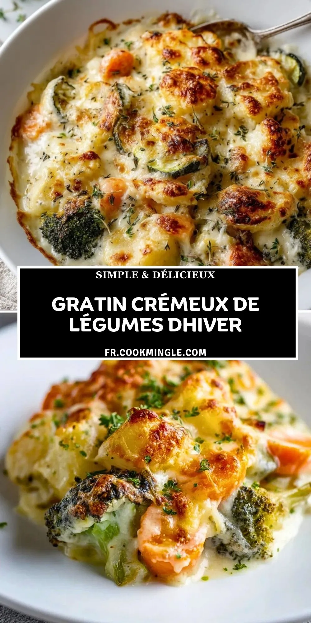Gratin Crémeux de Légumes dHiver (2)