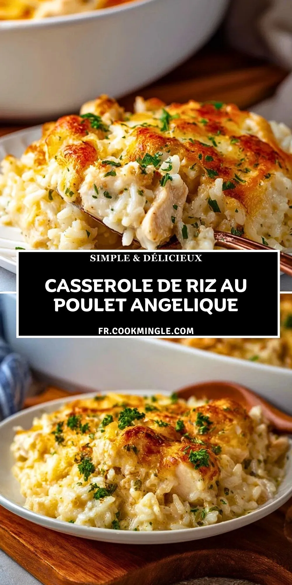 Casserole De Riz Au Poulet Angelique (2)