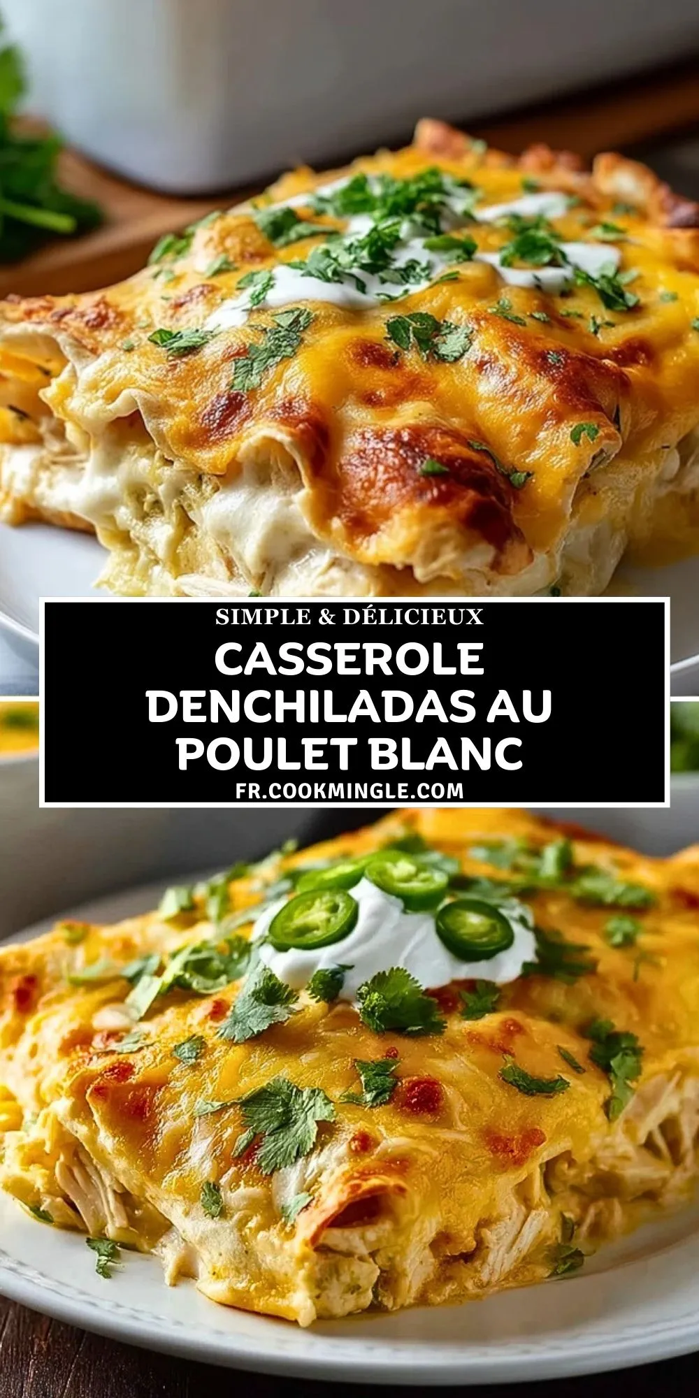 Casserole DEnchiladas Au Poulet Blanc (2)