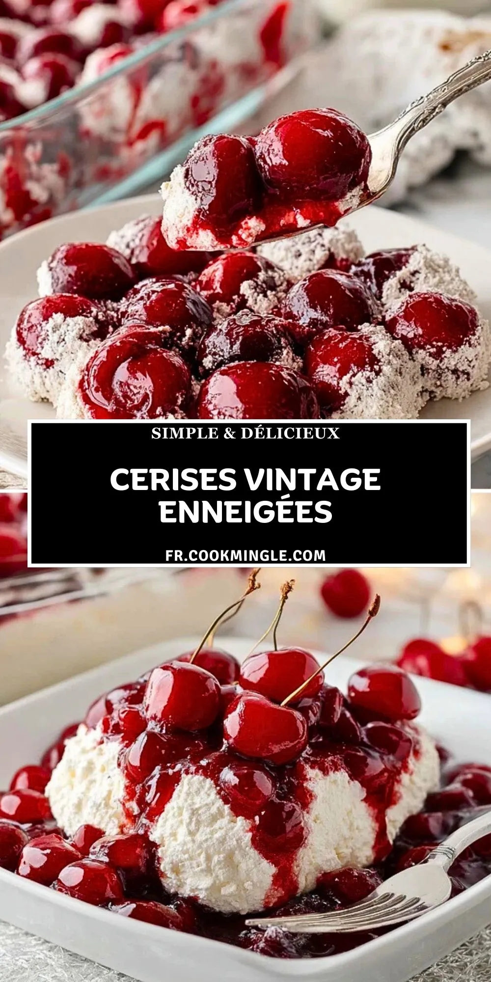 Cerises Vintage Enneigées (2)
