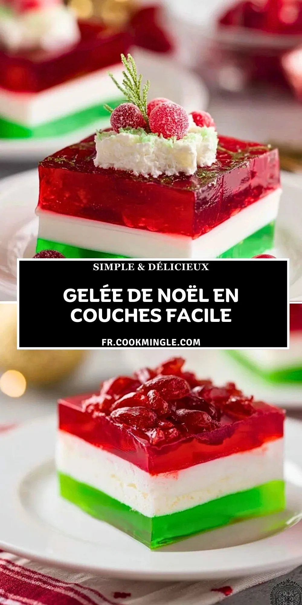 Gelée de Noël en Couches Facile (2)