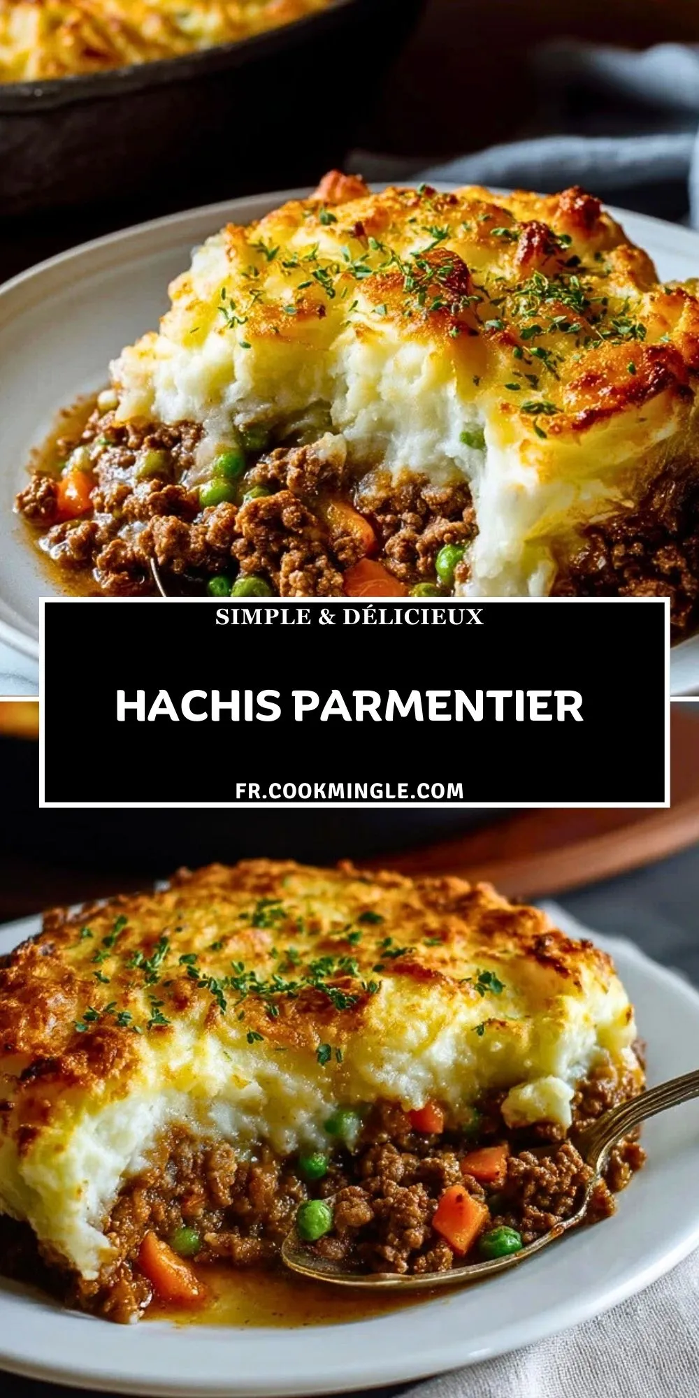Hachis Parmentier (2)