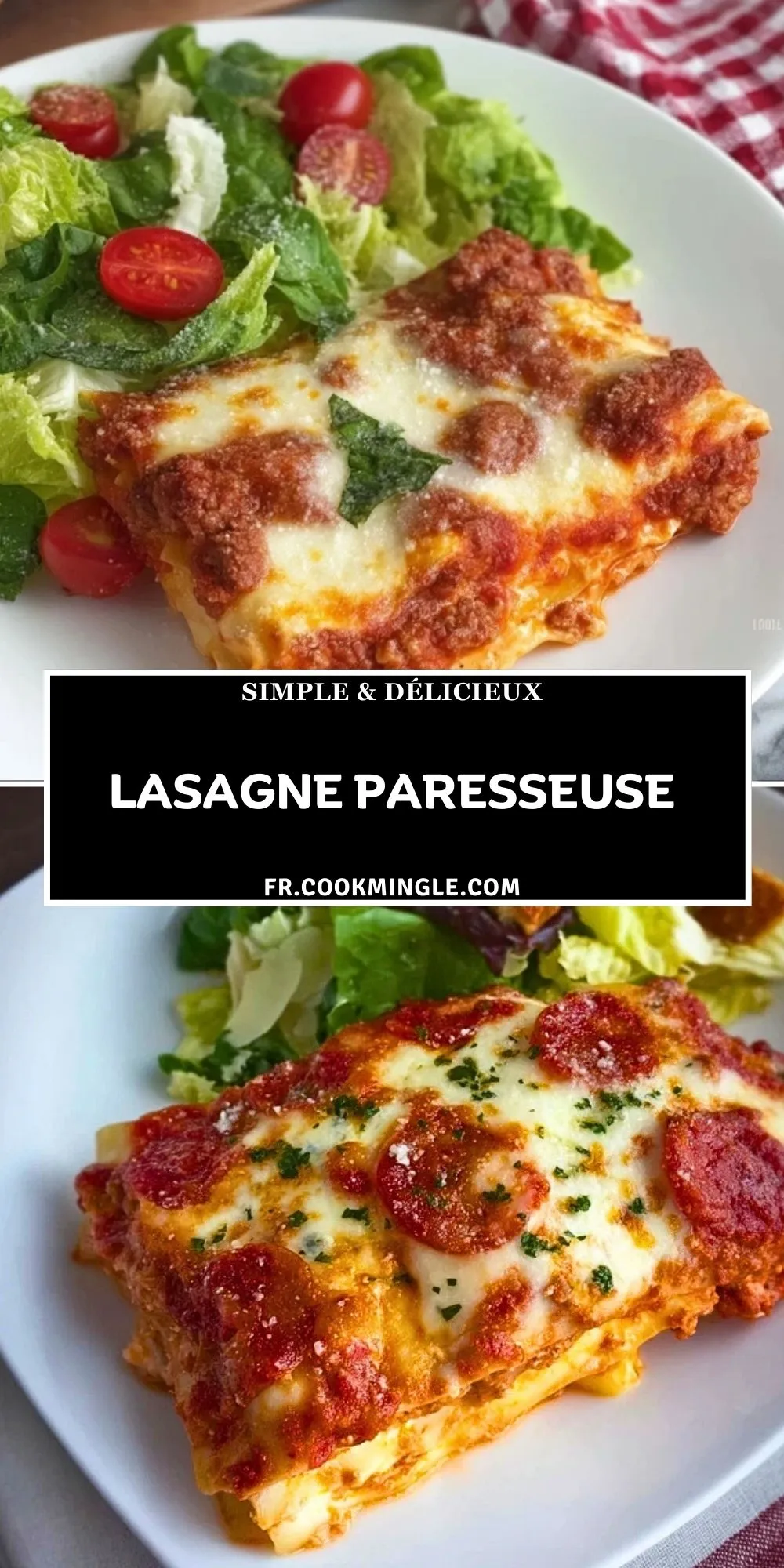 Lasagne Paresseuse (2)