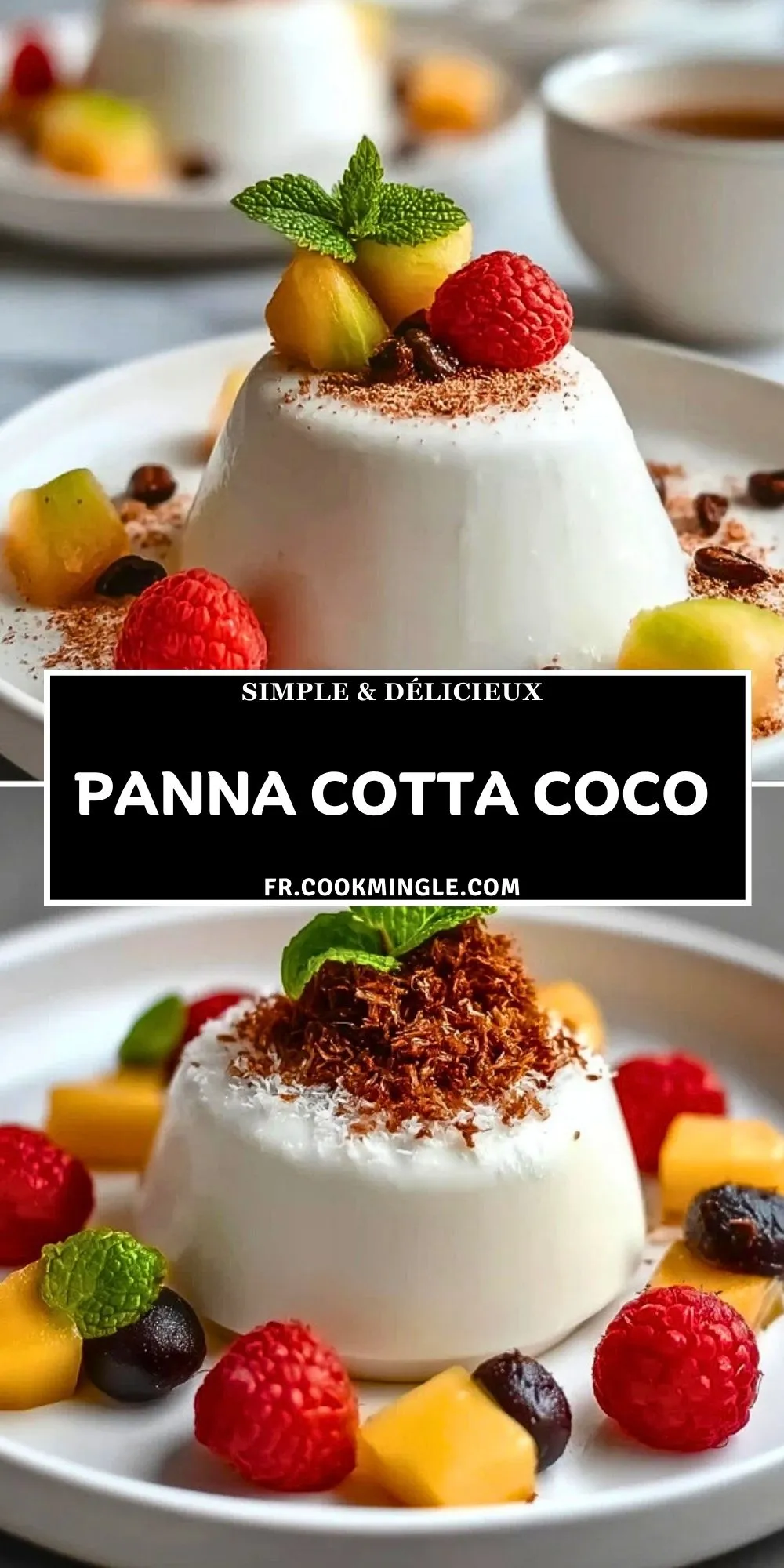Panna Cotta Coco (2)