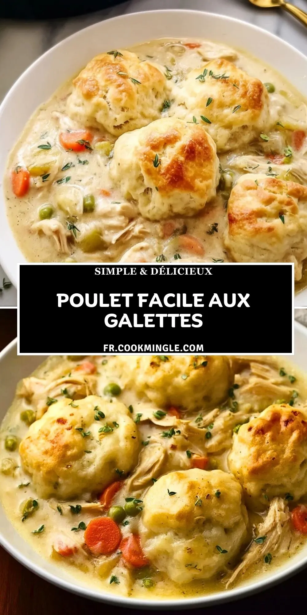 Poulet Facile Aux Galettes (2)