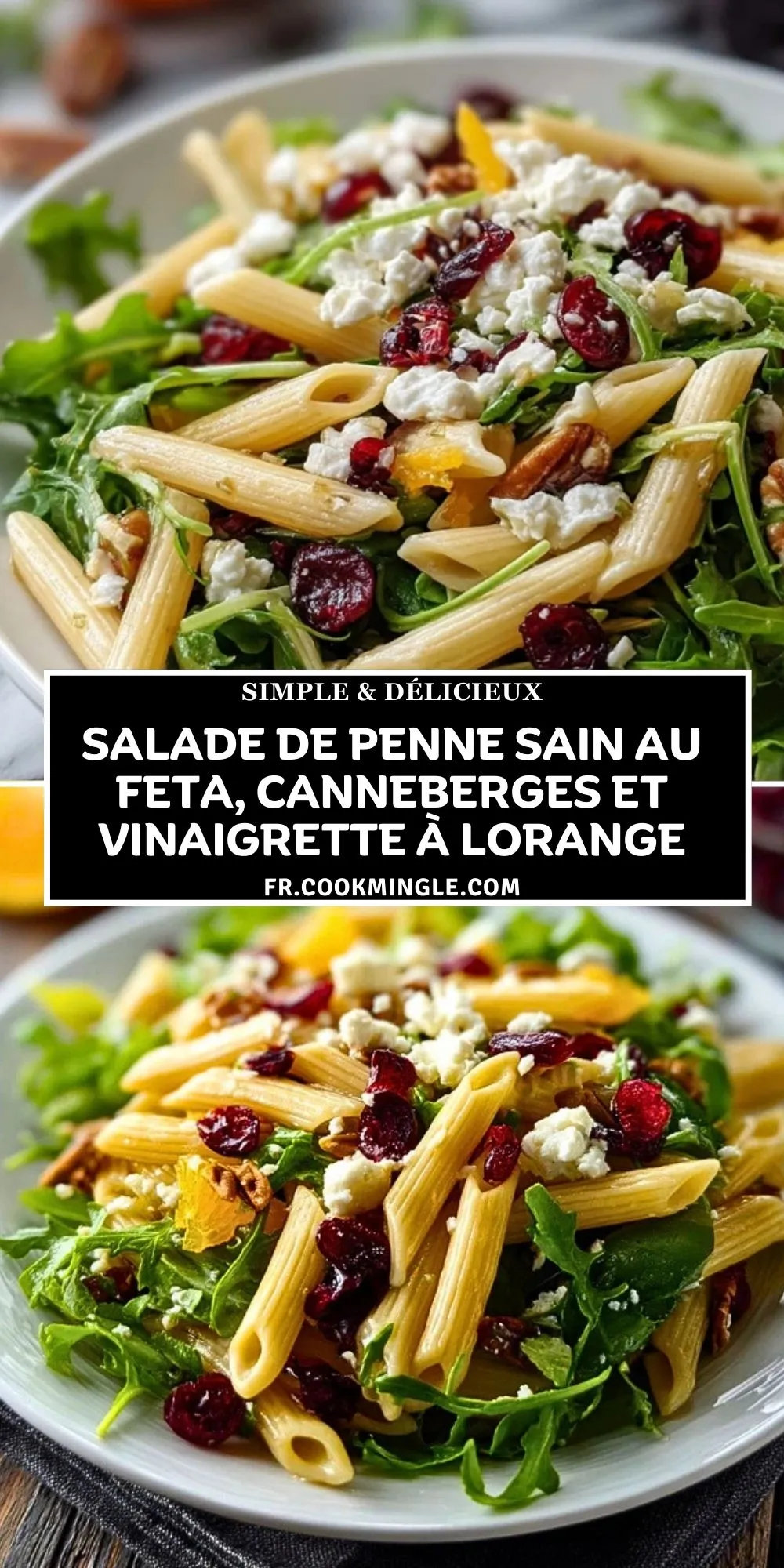 Salade de Penne Sain au Feta, Canneberges et Vinaigrette à lOrange (2)
