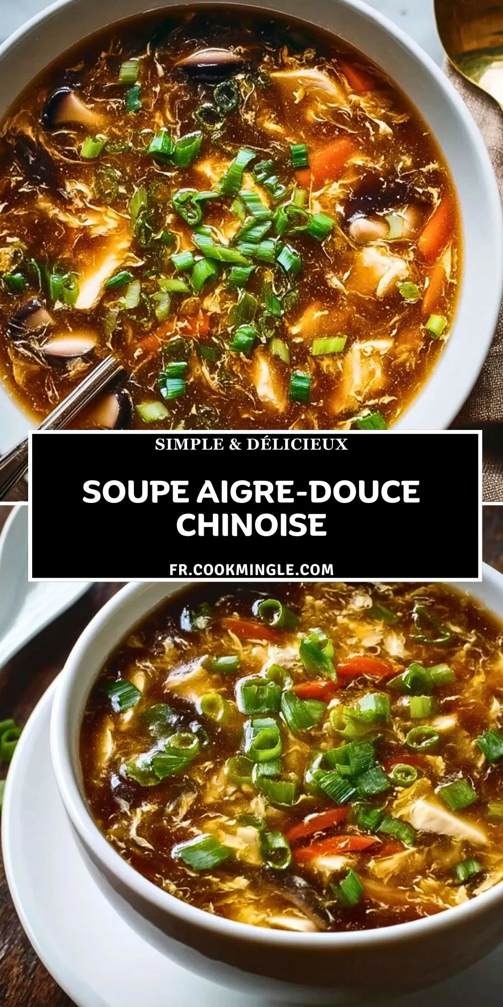 Soupe Aigre-Douce Chinoise (2)