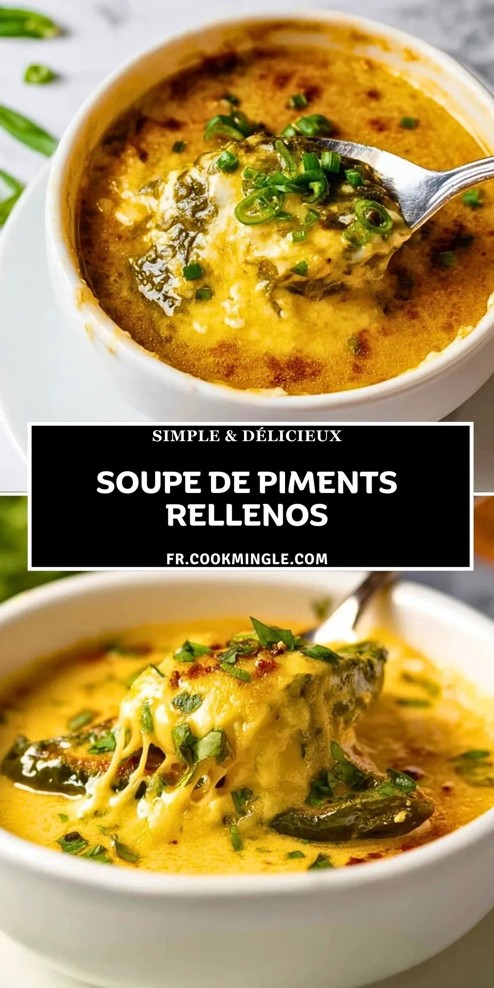 Soupe De Piments Rellenos (2)