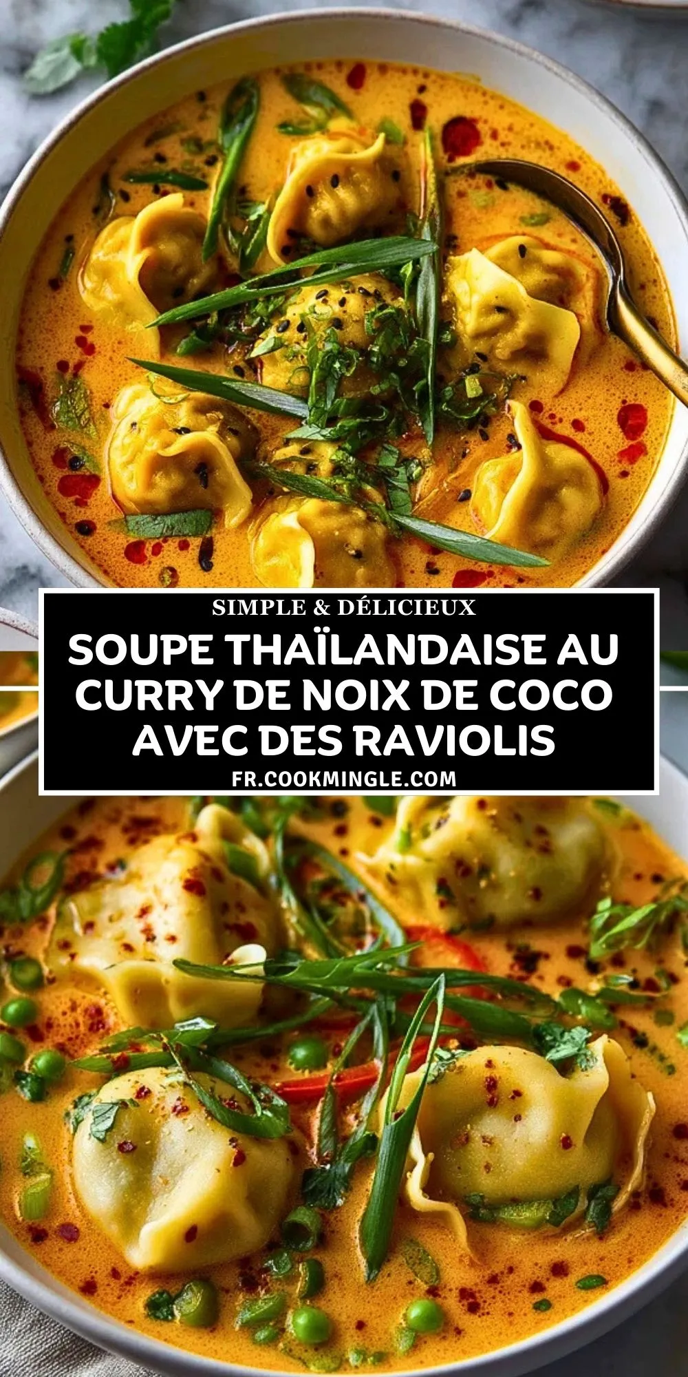 Soupe Thaïlandaise Au Curry De Noix De Coco Avec Des Raviolis (2)