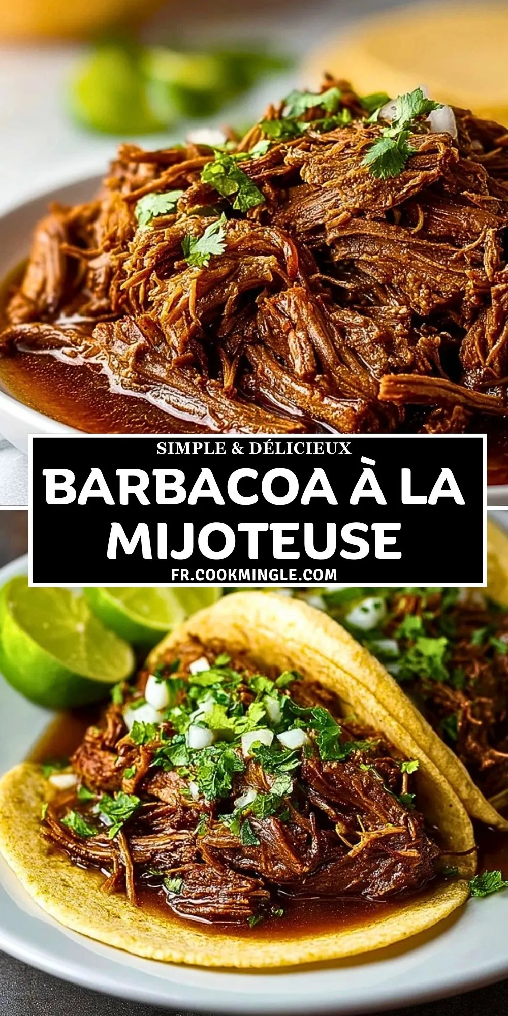 Barbacoa à la Mijoteuse (2)