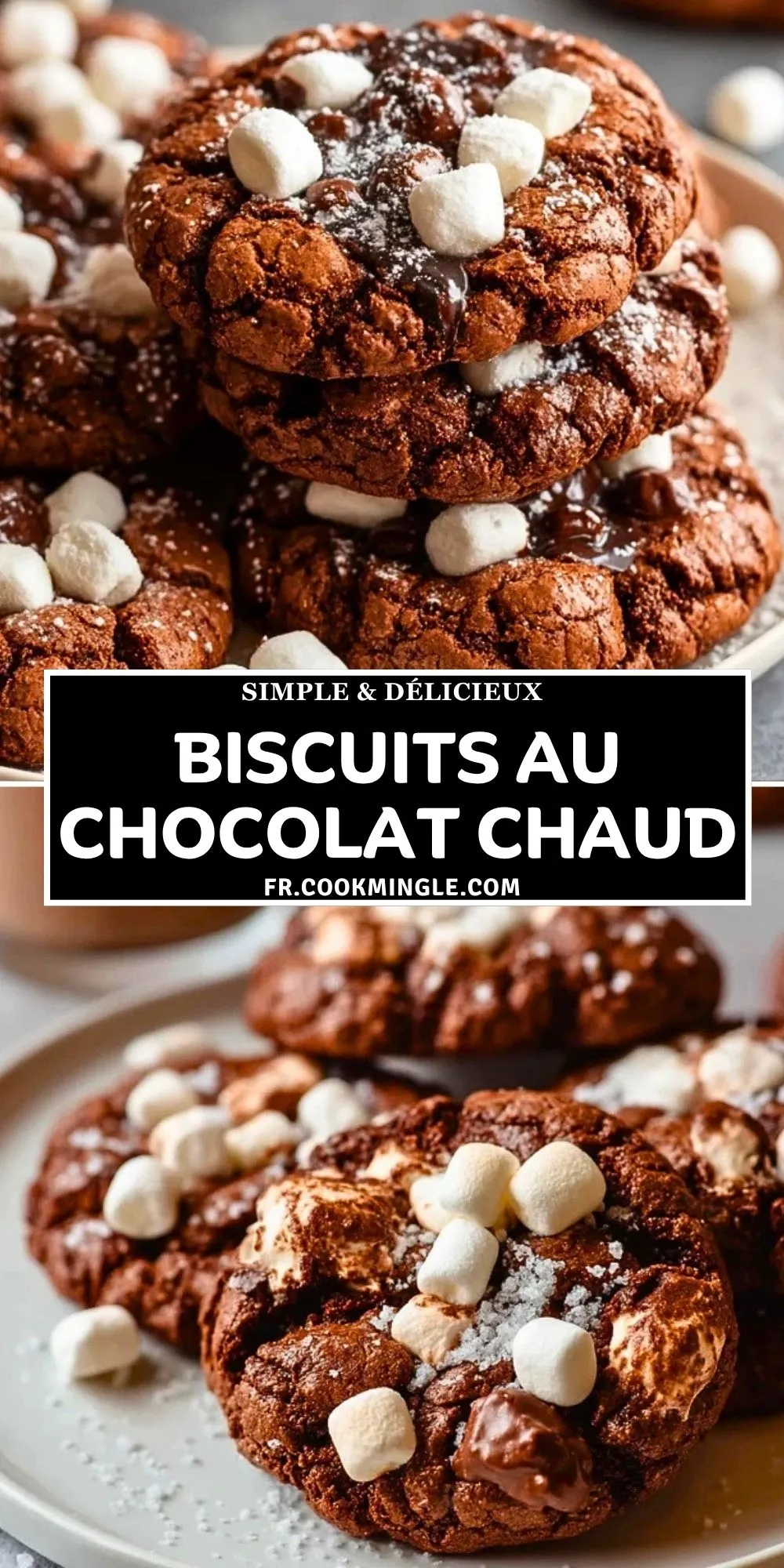 Biscuits Au Chocolat Chaud (2)