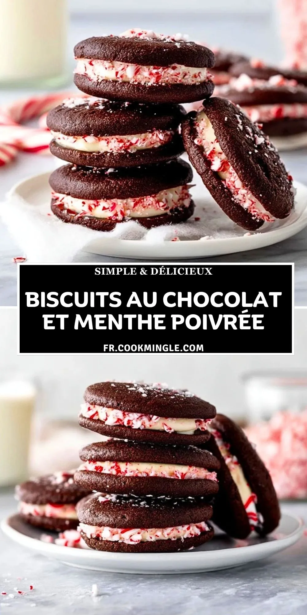 Biscuits Au Chocolat Et Menthe Poivrée (2)