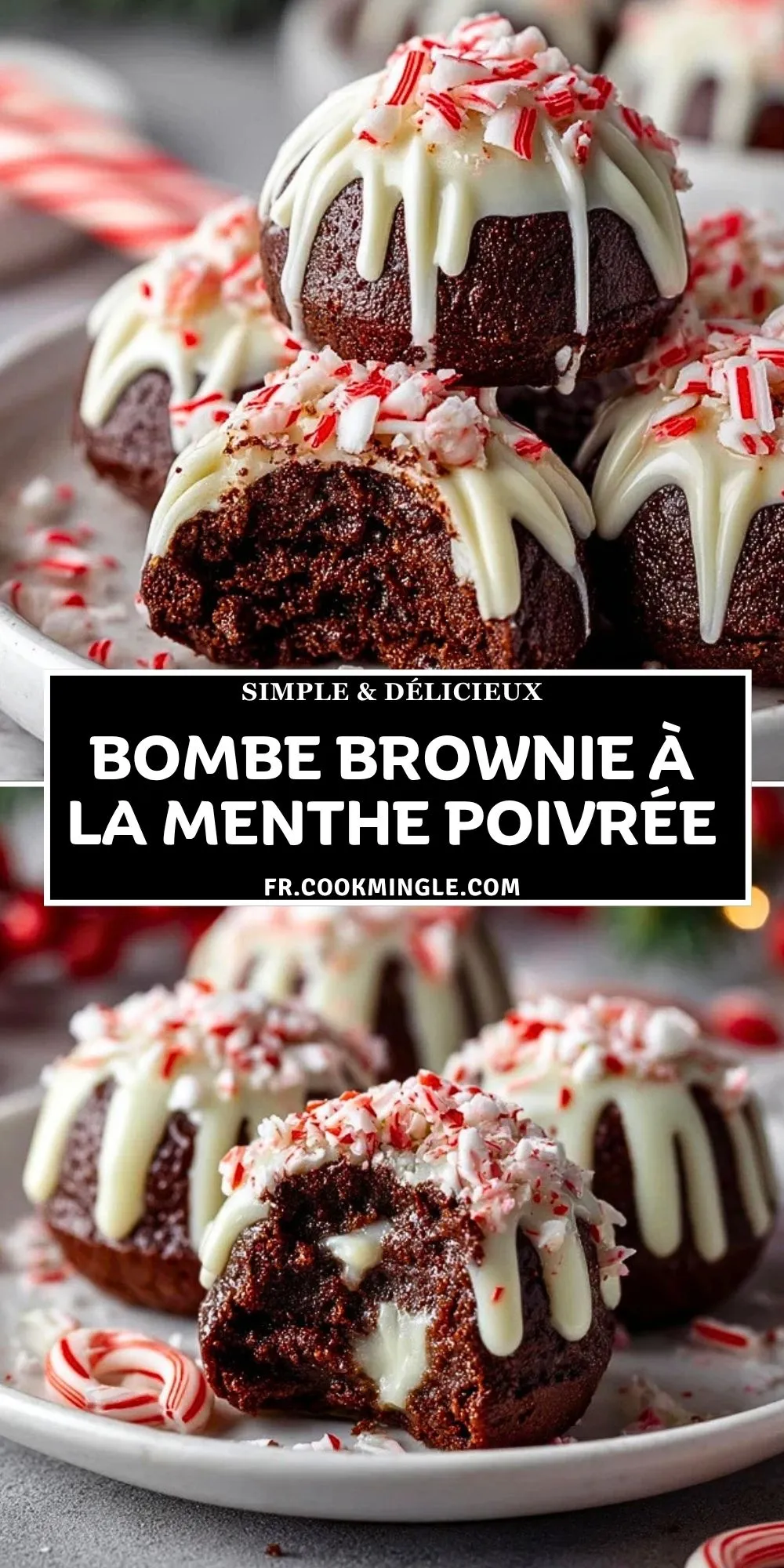 Bombe Brownie à la Menthe Poivrée (2)