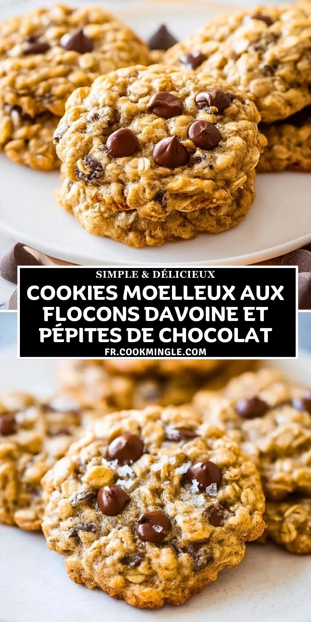 Cookies Moelleux Aux Flocons DAvoine Et Pépites De Chocolat (2)