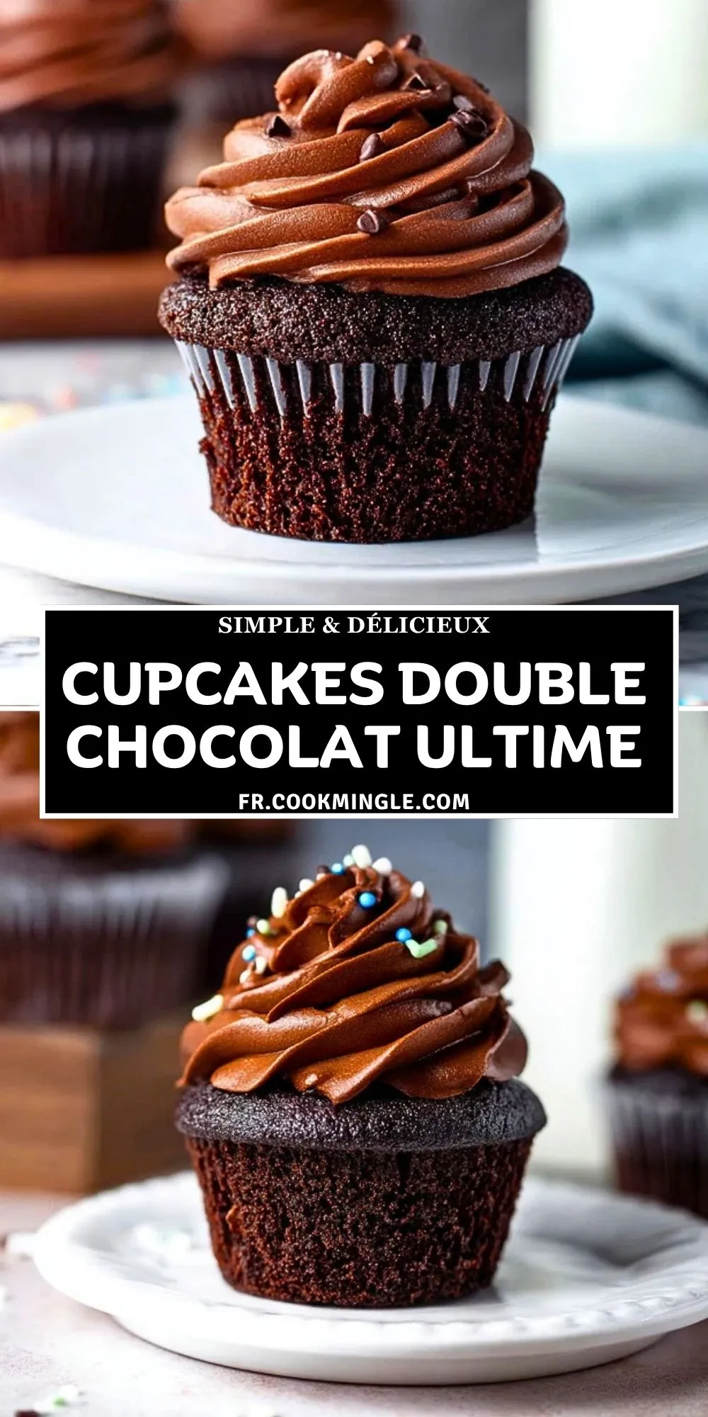 Cupcakes Double Chocolat Ultime (2)