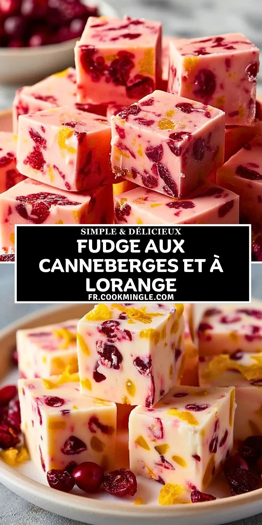 Fudge Aux Canneberges Et À LOrange (2)