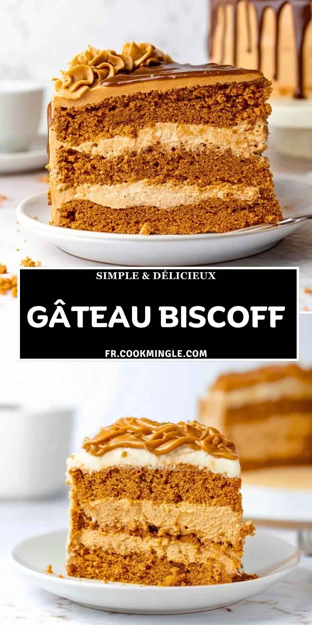 Gâteau Biscoff (2)