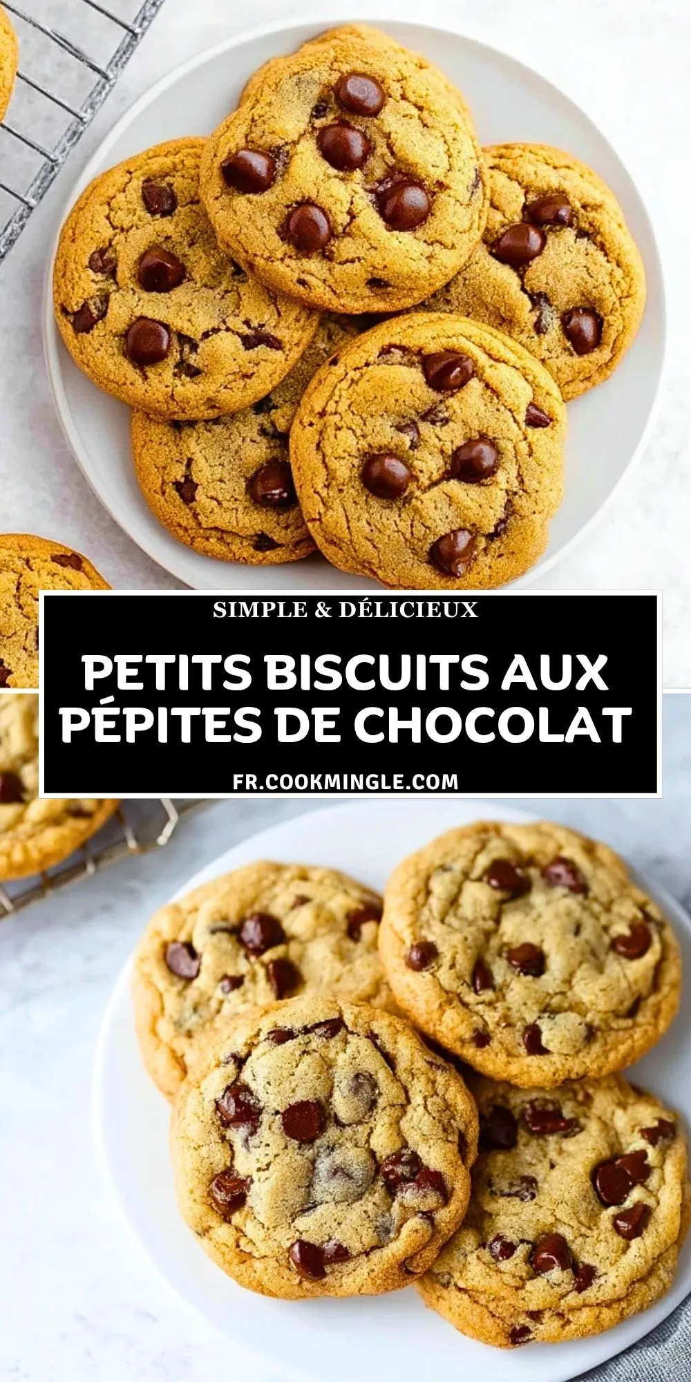 Petits Biscuits Aux Pépites De Chocolat (2)