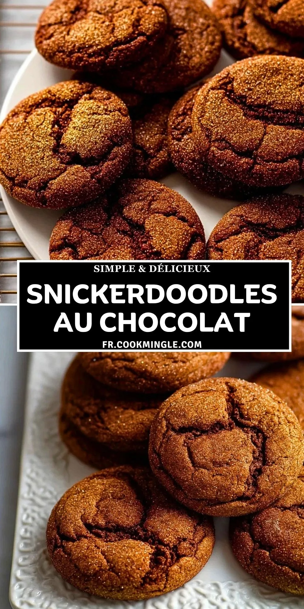 Snickerdoodles Au Chocolat (2)