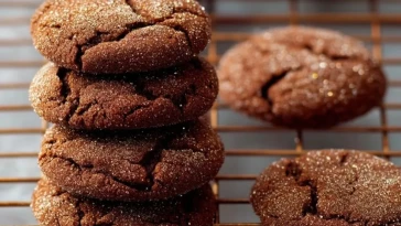 Snickerdoodles Au Chocolat