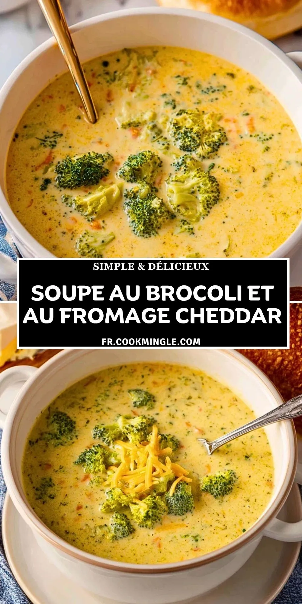 Soupe Au Brocoli Et Au Fromage Cheddar (2)