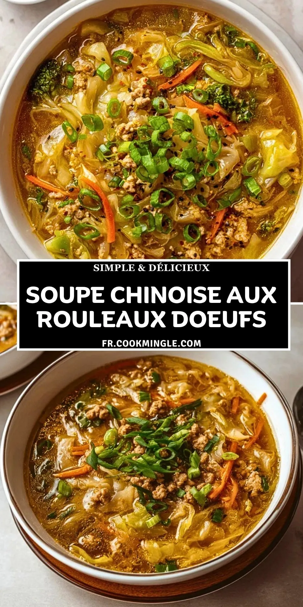 Soupe Chinoise Aux Rouleaux DOeufs (2)