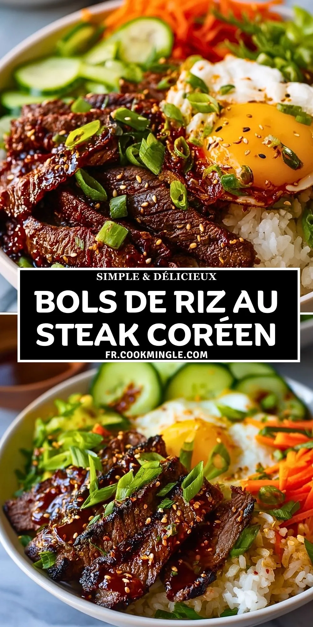 Bols De Riz Au Steak Coréen (2)