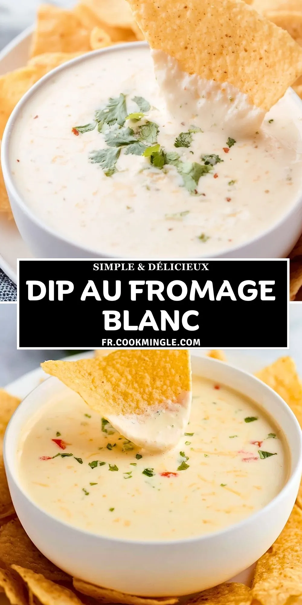 Dip Au Fromage Blanc (2)