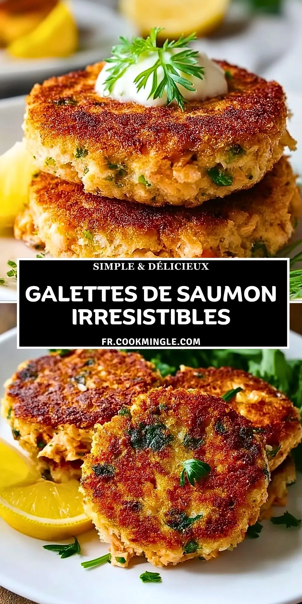 Galettes De Saumon Irresistibles (2)