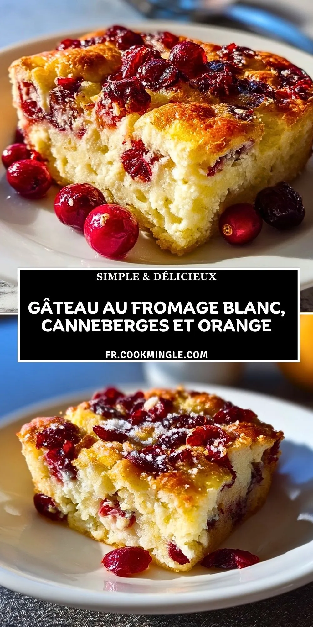 Gâteau Au Fromage Blanc, Canneberges Et Orange (2)