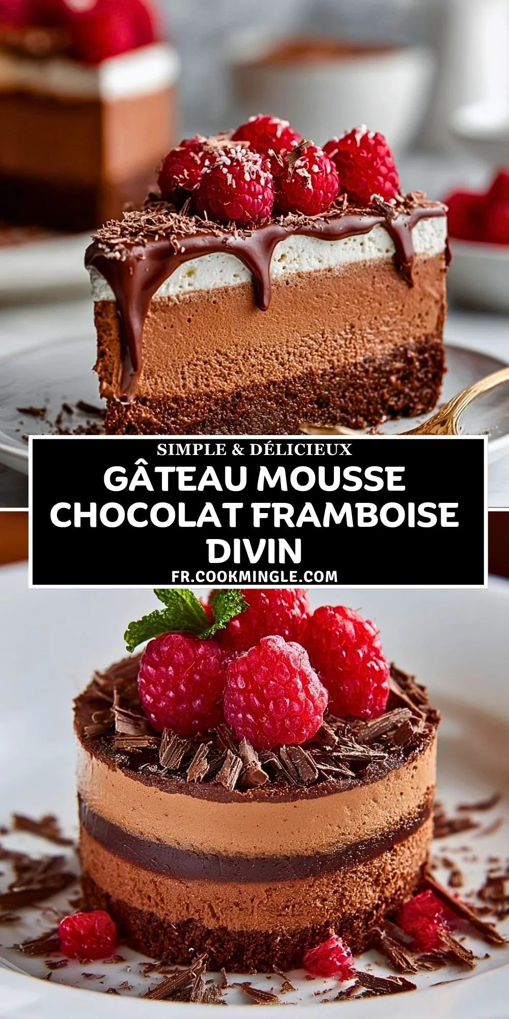 Gâteau Mousse Chocolat Framboise Divin (2)
