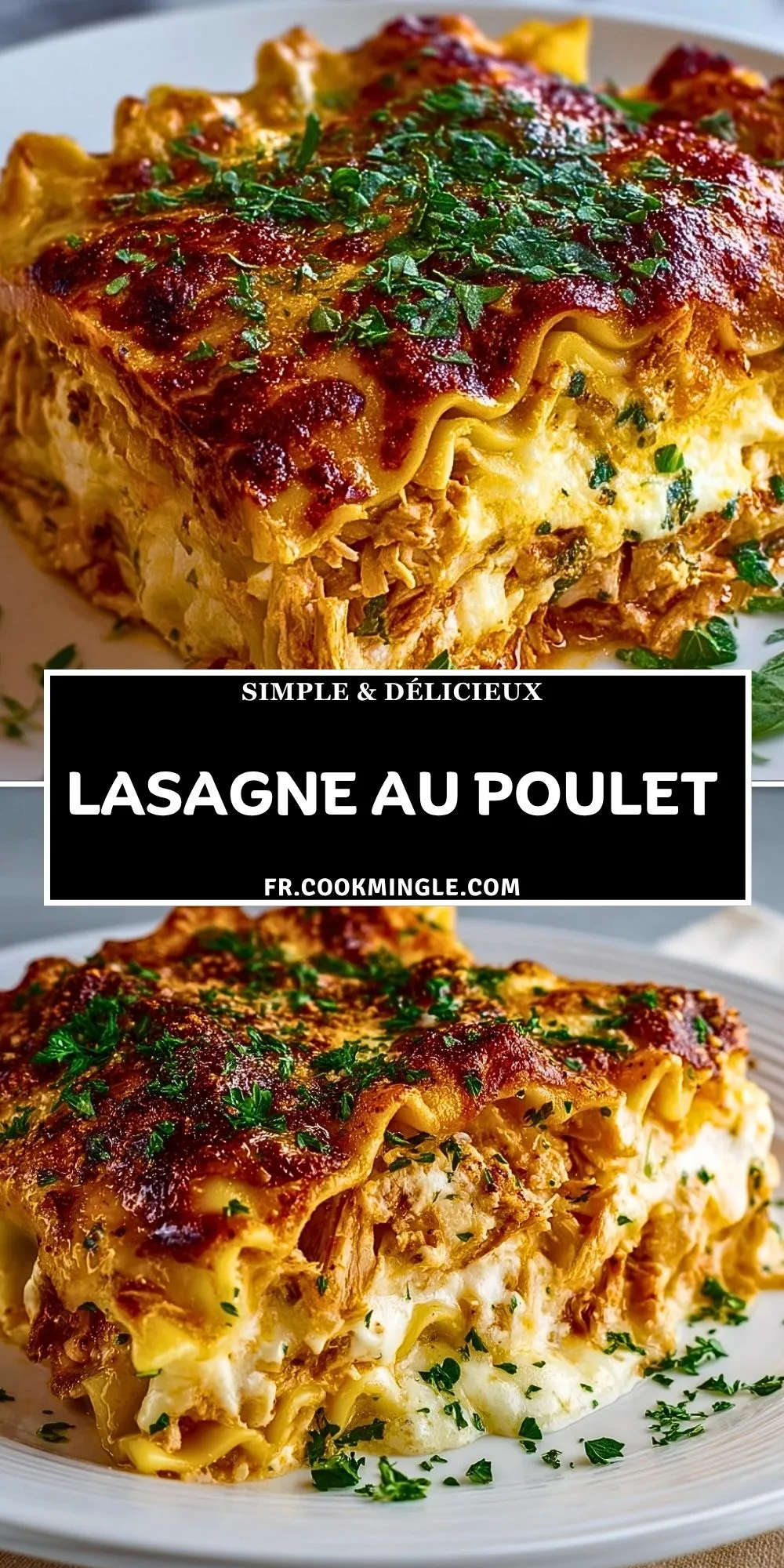 Lasagne au Poulet (2)