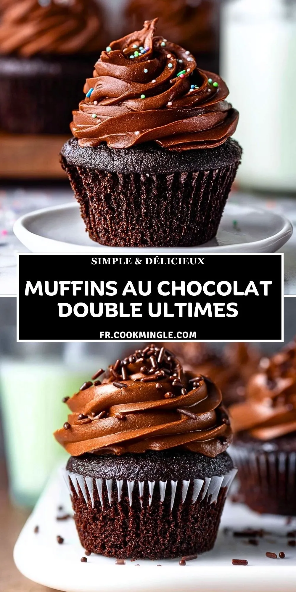 Muffins Au Chocolat Double Ultimes (2)