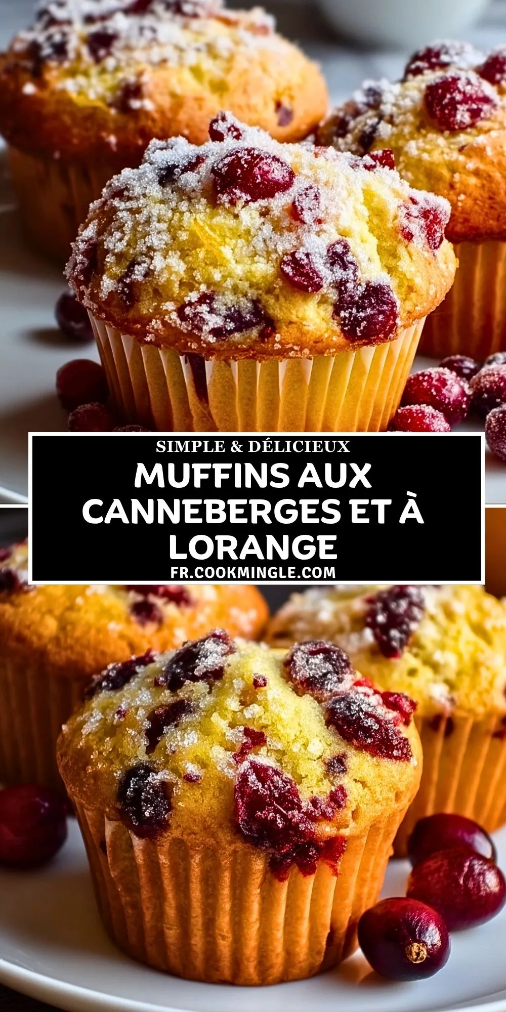 Muffins Aux Canneberges Et À LOrange (2)