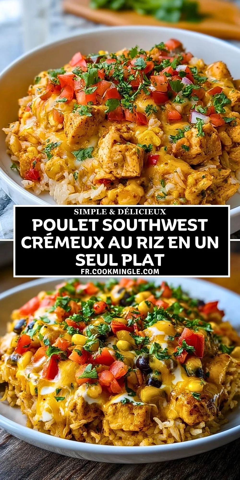 Poulet Southwest Crémeux au Riz en Un Seul Plat (2)