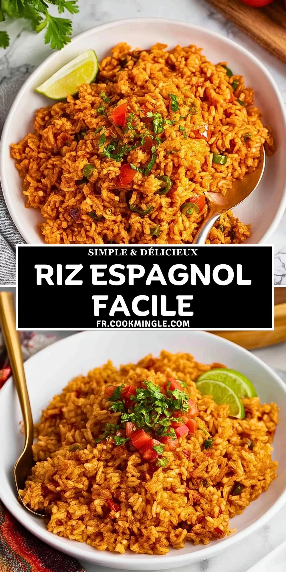 Riz Espagnol Facile (2)