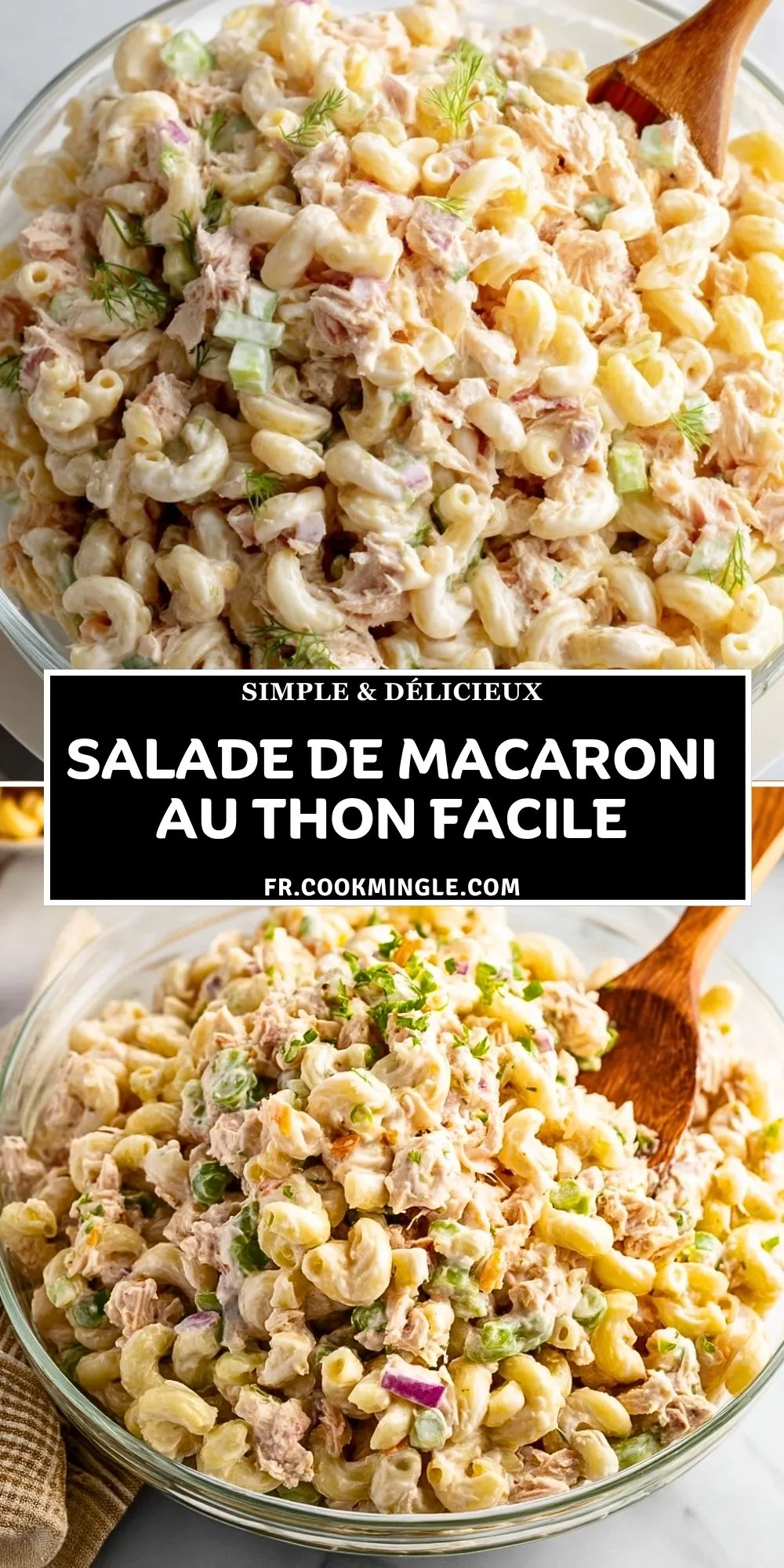 Salade De Macaroni Au Thon Facile (2)