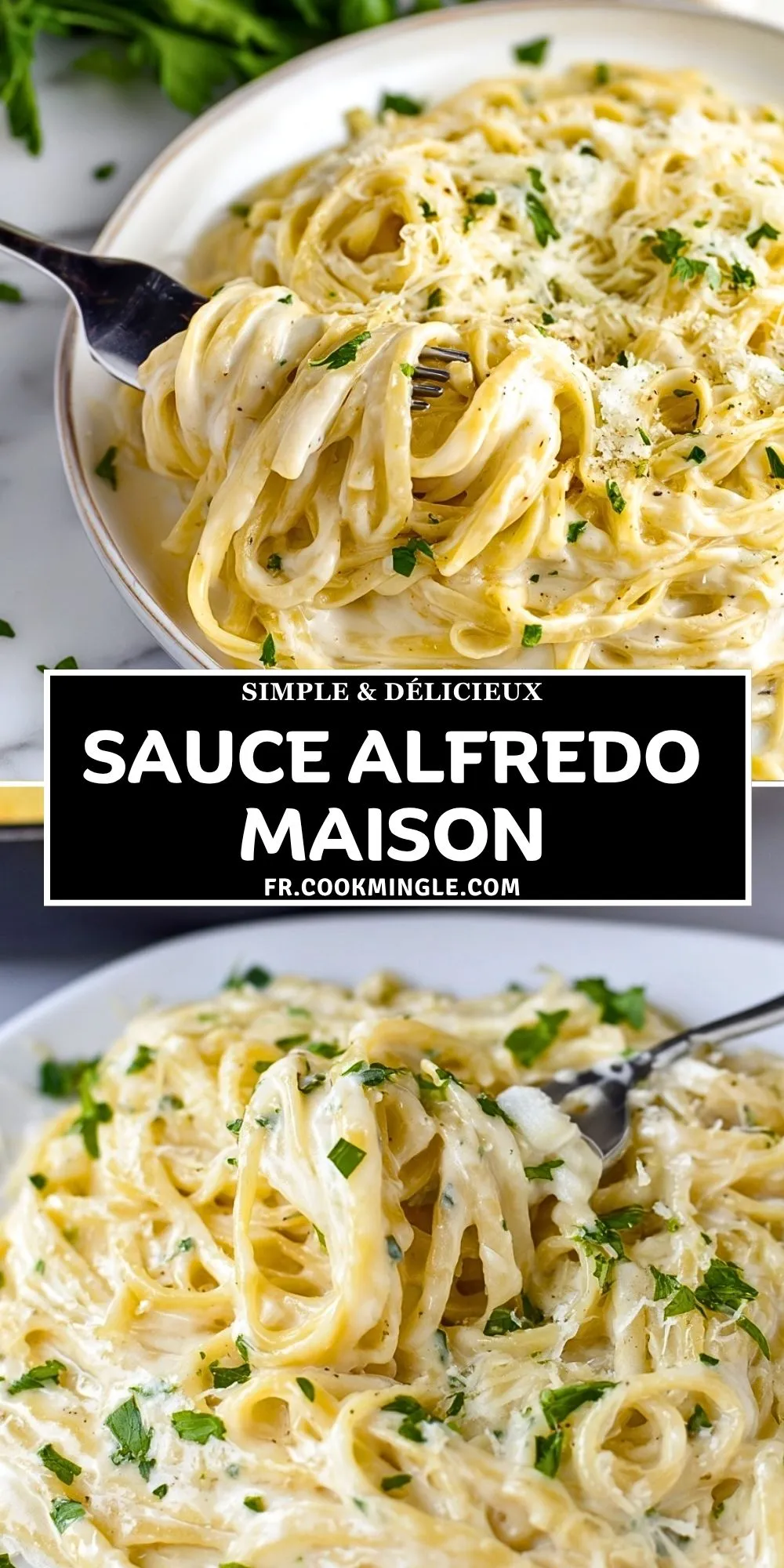 Sauce Alfredo Maison (2)