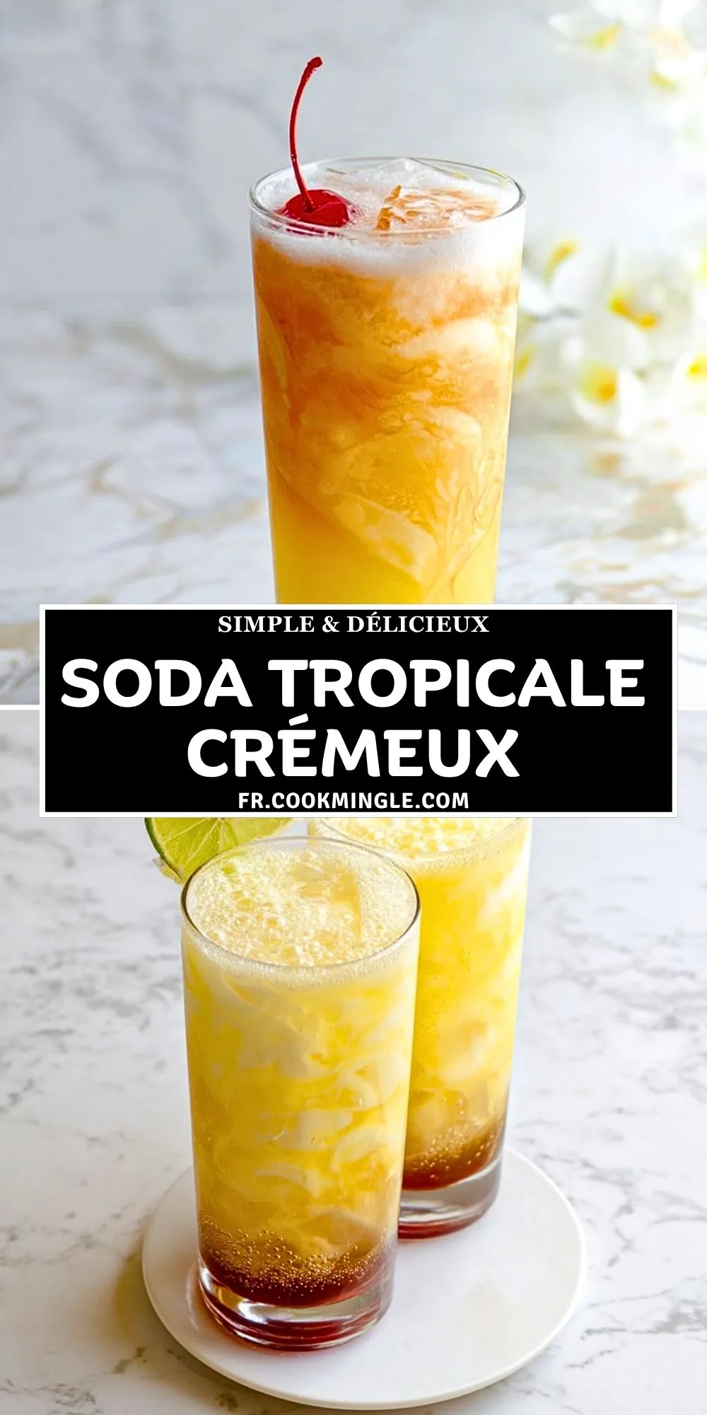 Soda Tropicale Crémeux (2)