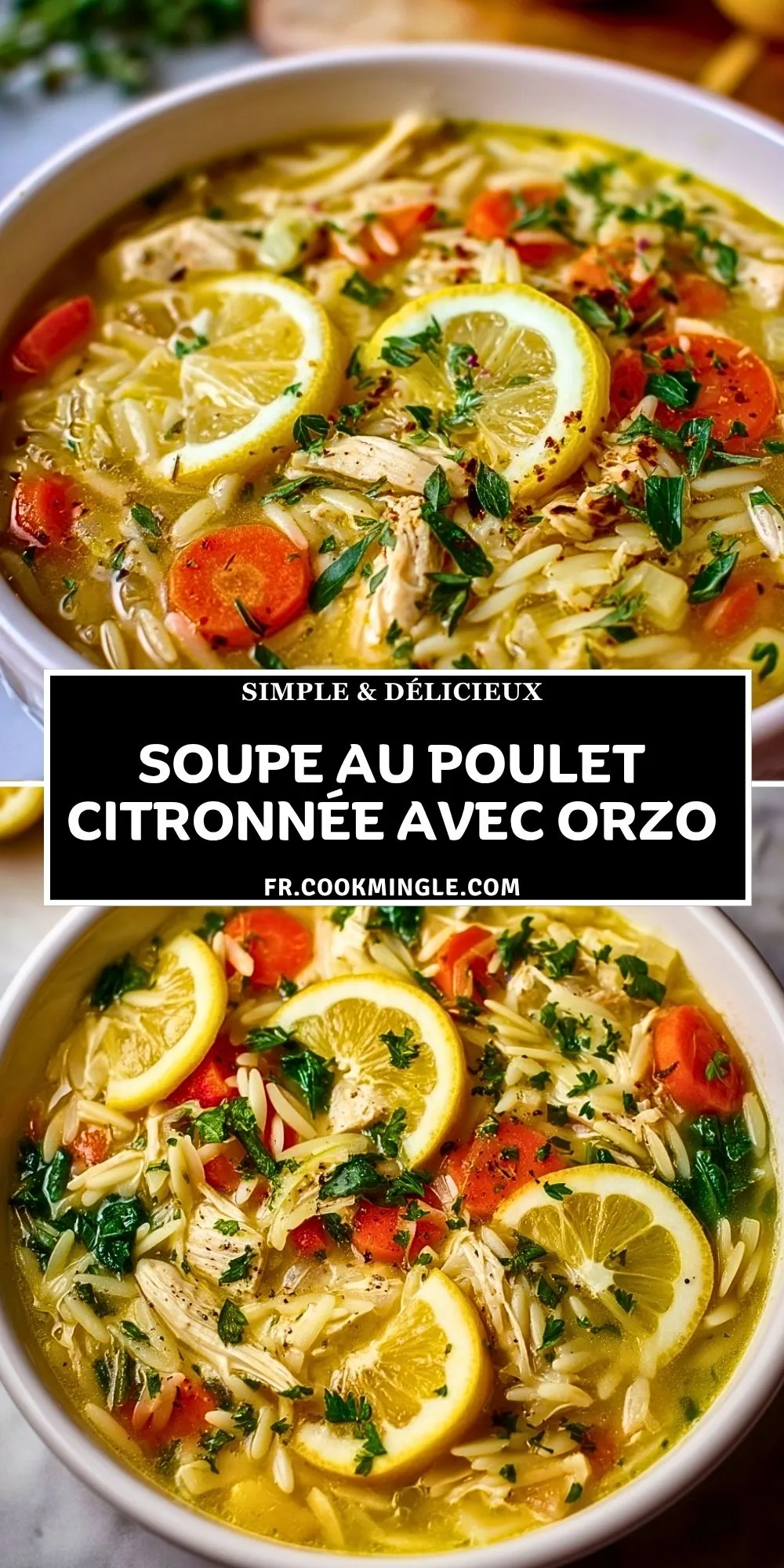 Soupe au Poulet Citronnée avec Orzo (2)